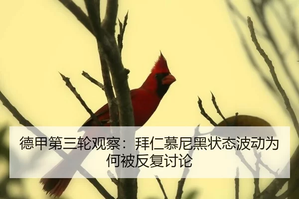 de-jia-di-san-lun-guan-cha-bai-ren-mu-ni-hei-zhuang-tai-bo-dong-wei-he-bei-fan-fu-tao-lun-2-875.jpg